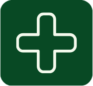 icon health