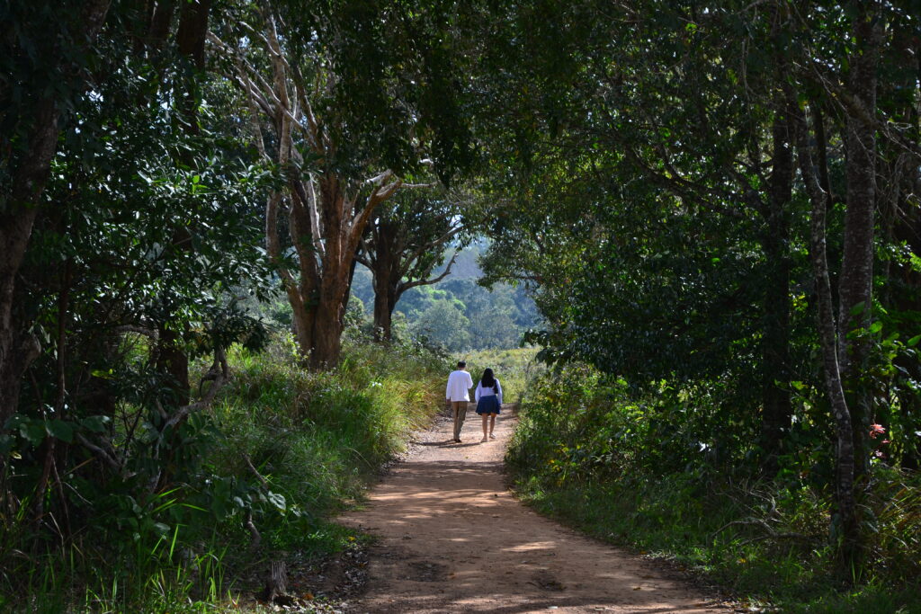 two people walk together down a forest path in Khoa Yai National Park