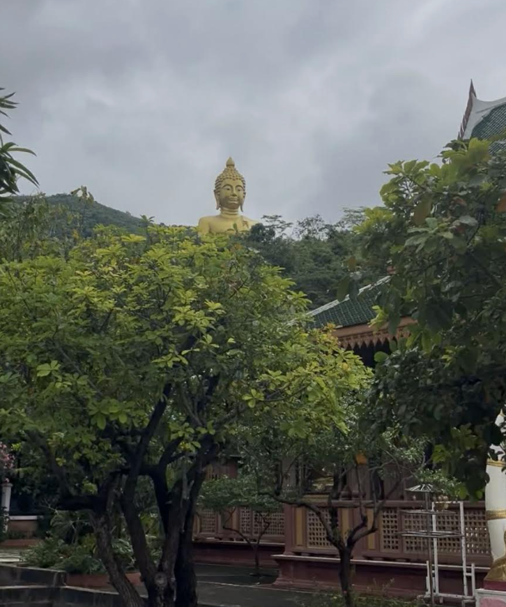 temple wat with bangkok teacher