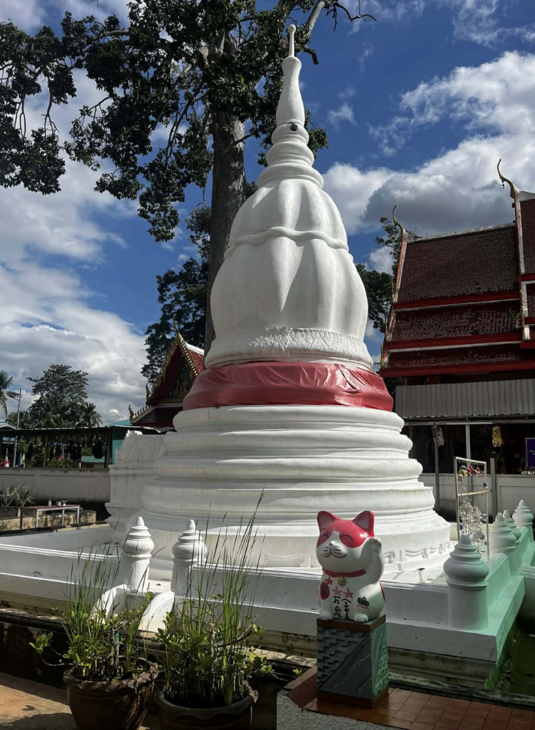 Screenshot-2569-02-26-at-15.10.18