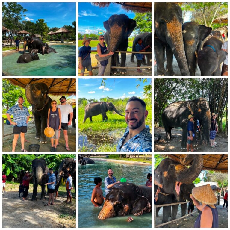 Bangkok Elephant Park Thailand